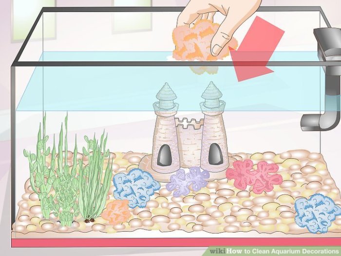 How often to clean aquarium decorations