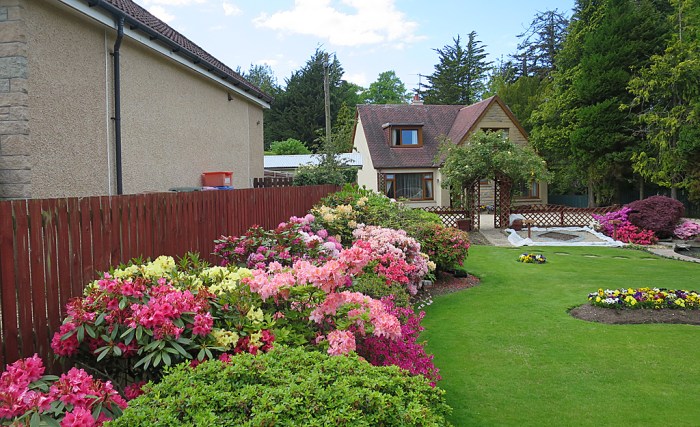 Rhododendron beet gestalten